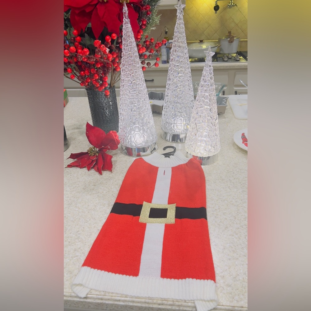 Holiday Santa Pet Sweater in Red and White